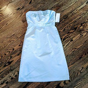 J. Crew NWT Baby Blue Strapless Occasion Dress 2